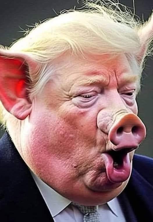 trump_pig.jpg