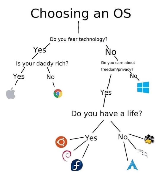 OSchoice.jpg