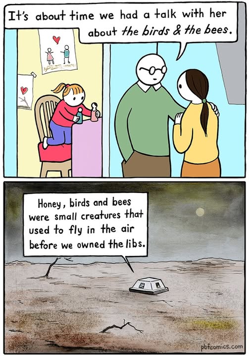 birds_bees.jpg