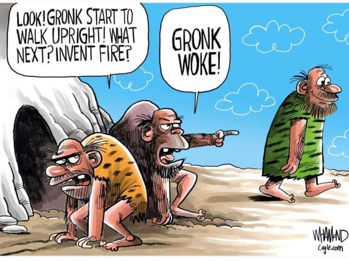 wokegronk.jpg