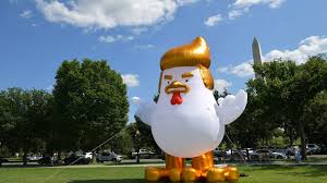chicken.jpg